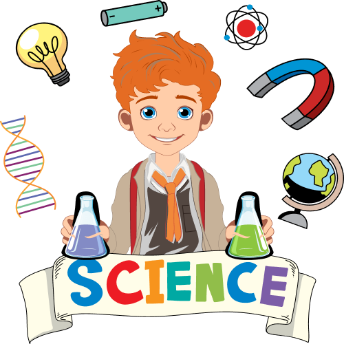 🧪 مادة العلوم